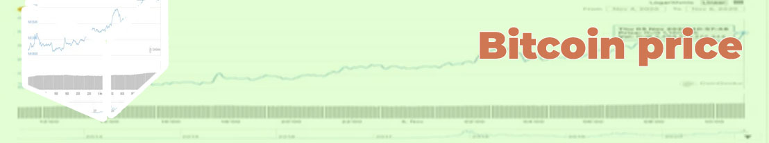 Bitcoins highest price