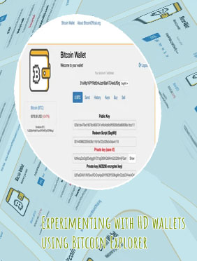 Number of bitcoin wallets