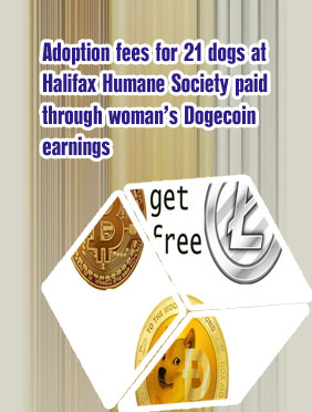 Wife dogecoin where to buy